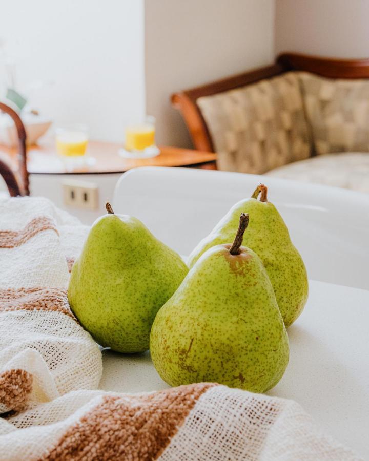 Orly Suites Santiago Luaran gambar